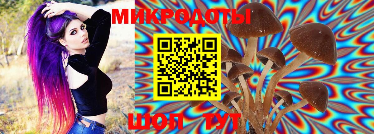 Михайловск  Галлюциногенные грибы ЛСД  Вход с VPN  Псилоцибиновые грибы Psilocybe 